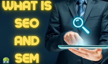 WHAT IS SEO AND SEM AND HOW IS IT USED